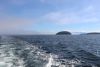 Just exited another fog bank in Chatham Strait...yikes!!