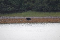 Craig to Shearwater, Visit from Adam and Cindi