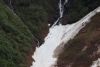 A mama Brown bear and 2 cubs climbing the snowpack......must be the easiest way up the mountain!!