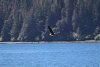 IMG_1259-2