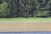 IMG_1396-2