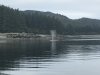 IMG_3459