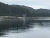IMG_3460