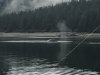 IMG_3467