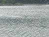 IMG_3473
