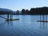 IMG_7227