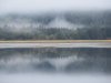 IMG_7311