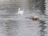 Two friends out for something to eat!!!