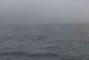 Pretty nasty weather; cold, dark clouds, rainy, windy....ugh!!!