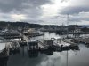 Kodiak City Marina...you can just see Mystic's stern