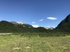We went ashore by the salmon stream for some bear viewing