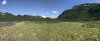 Panoramic View
