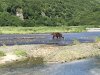 IMG_1643