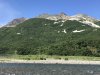 IMG_1649