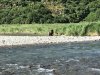 IMG_1651