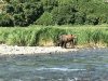 IMG_1652