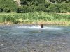 IMG_1653