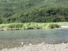 IMG_1671