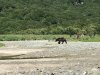 IMG_1679