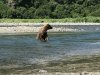 IMG_1682