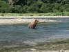 IMG_1683