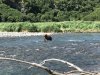 IMG_1700