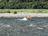 IMG_1705