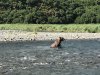 IMG_1710