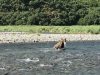 IMG_1711
