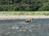 IMG_1712