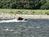 IMG_1721