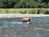IMG_1724