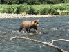 IMG_1725