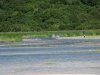 IMG_6137