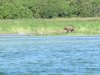 IMG_6142