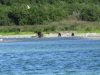 IMG_6148