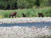 IMG_6156
