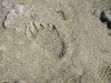 Huge footprint!!!