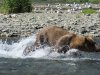 IMG_6177