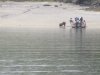 Digging for clams!