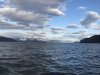 IMG_3205