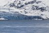 IMG_3767