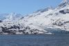 Views as we pass by Lamplugh glacier!