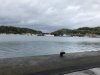 IMG_0767