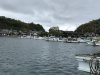 IMG_0769