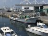 Many squid boats in the harbor!!