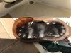 Ripped gasket