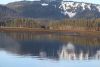 Love the water refections