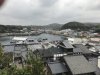 IMG_9201