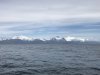 IMG_1770